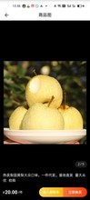 宁陵酥梨 非砀山梨安徽当天采摘新鲜水果河南商丘新鲜梨子10斤