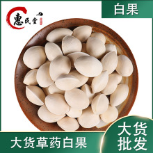 白果银杏果白果壳1kg大货散装规格齐全初级农产品初加工 中华药都