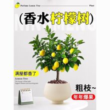 ��ˮ���ʘ����Ԏ�����ʳ�ÿ͏d�Gֲ�Ϙ�����ֲ���҃��̨���F���B