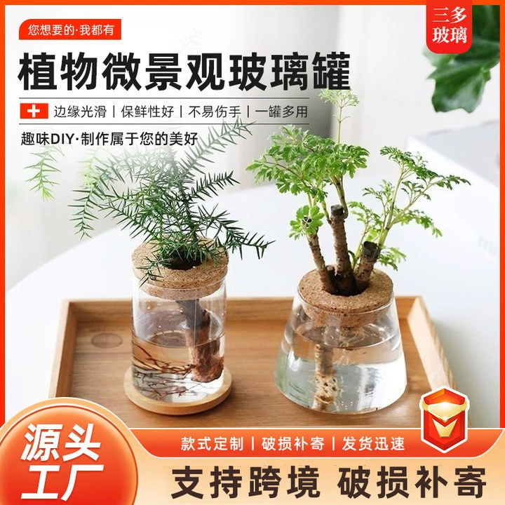 Оптовая продажа микро-ландшафтных бутылок для офиса, настольных растений, экологических бутылок, аквариумов, сосудов из высокоборосиликатного гидропонного стекла