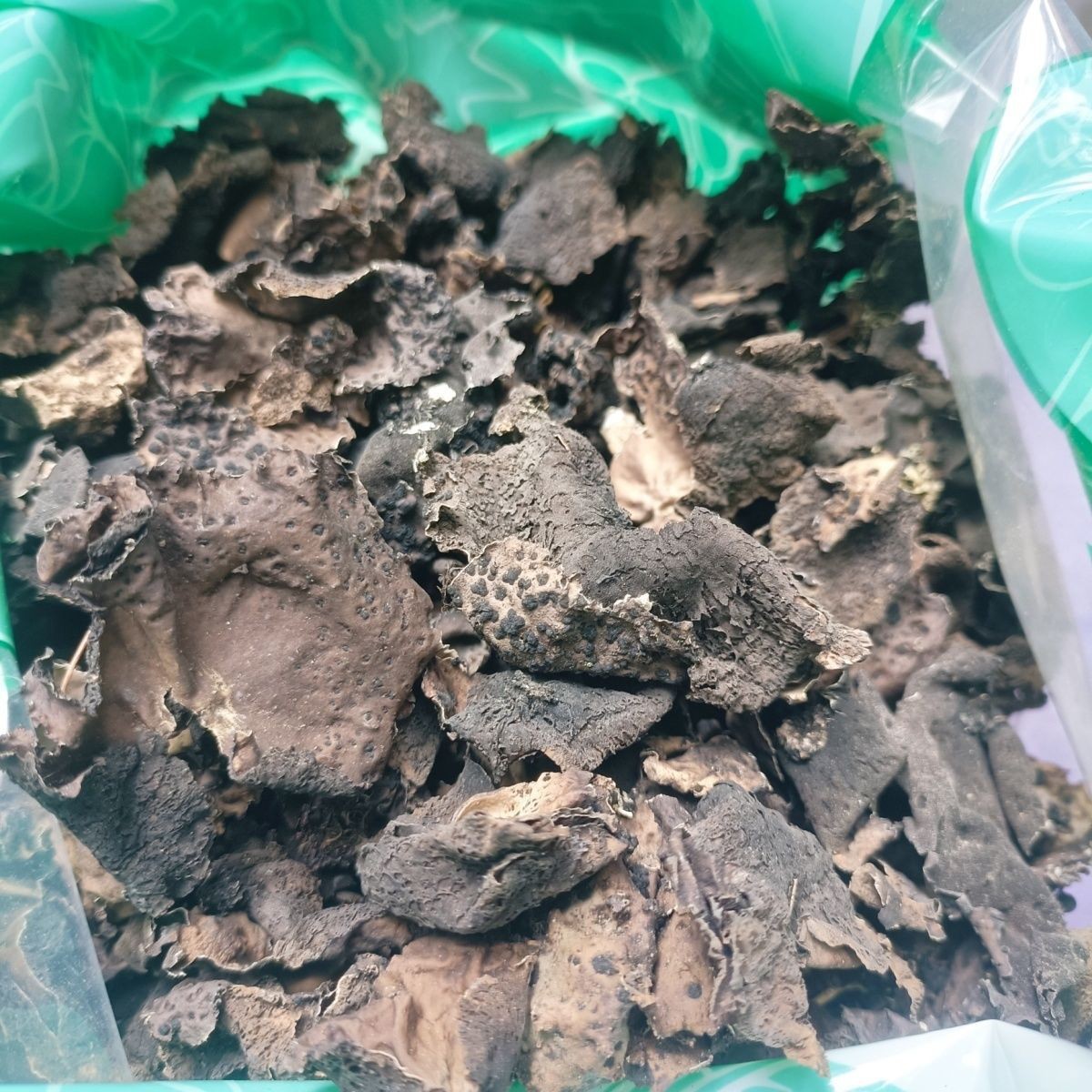 Dried Rock Fungus Shi Er 石耳 25g Jar Wild Mountain Lichen Edible Mushroom for Soup and Home Cooking key features