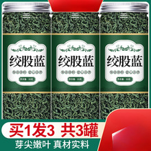 �g���{��g���mҰ���_������횲��~���~��