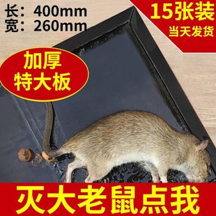 ������̖ճ���40���֜�������Ü���������N���մ���N���l