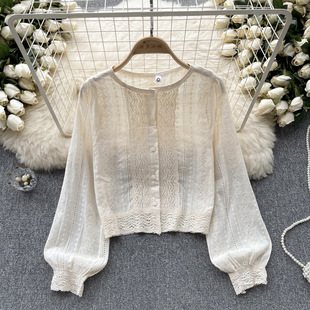 French High-end Long-sleeved Shirt Women's Autumn Crochet Hollow Design Niche Chic Beautiful Super Fairy Elegant Top