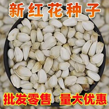 �t���N�Ӄ��|�ݼt���Ѽt���N�ӟo�̼t���ӸɃ��o�s�|���lѿ��ș��