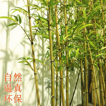 ���������҃��b����Ӹ������L�����쾰�����b������Լ��ܾGֲ