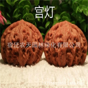 �޽��T��������Ҙ��簫���{���^����������Ա��Ϸ��Nֲ����Y��