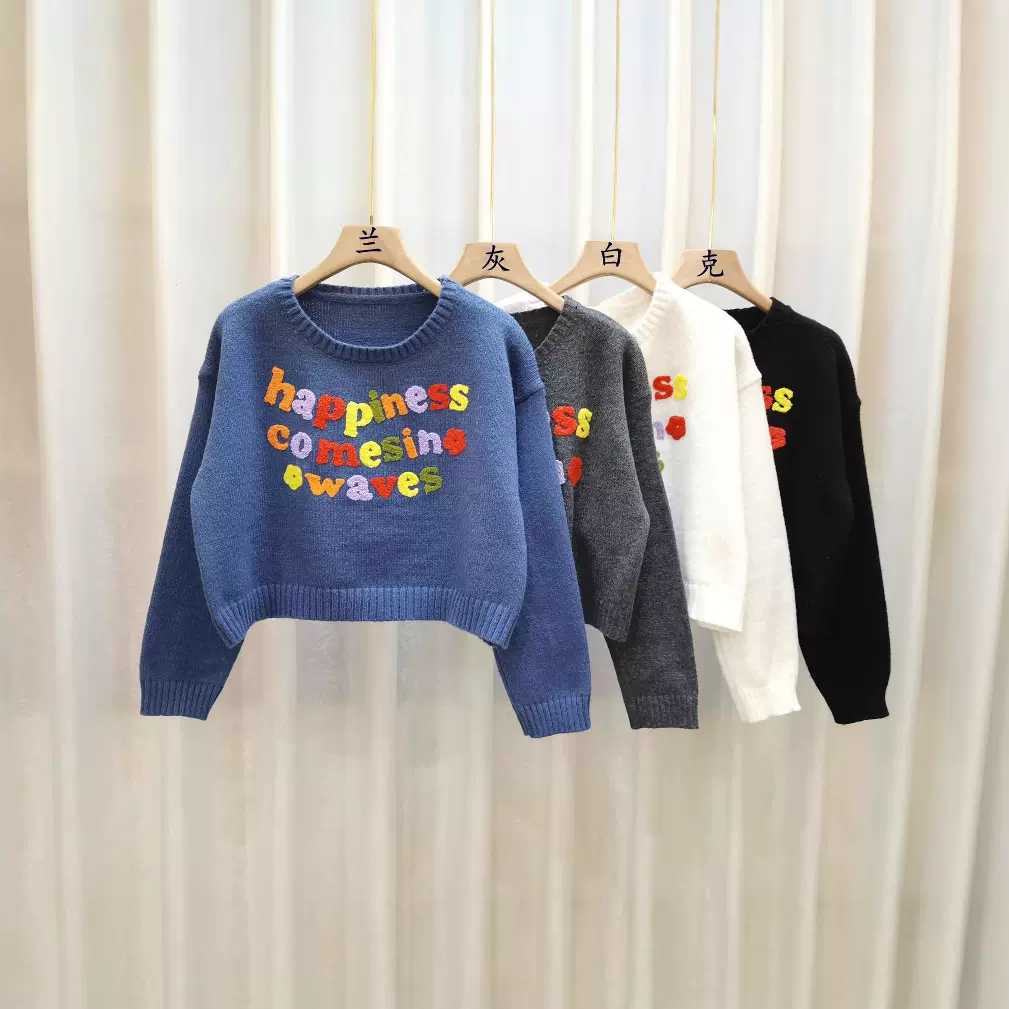 秋冬韩版2024新款显瘦时尚设计感小众彩色刺绣短款针织长袖毛衣女