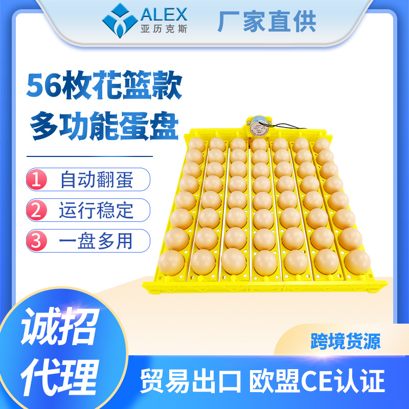 Placa de huevo incubadora doméstica automática 56 piezas pollo pato codorniz huevo placa automática de huevo con motor de suministro transfronterizo