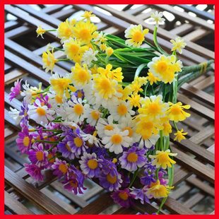 �S�����l�������m�ռٻ� Ƽ�� С�r�շ��滨 �Ҿӻ�c�b����ϻ�