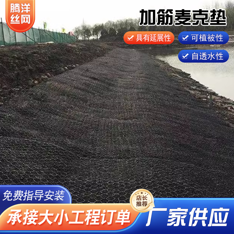 加筋麦克垫聚丙烯热镀锌加筋网垫高尔凡边坡绿化三维加筋土工网垫