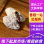 软籽葡萄凉果