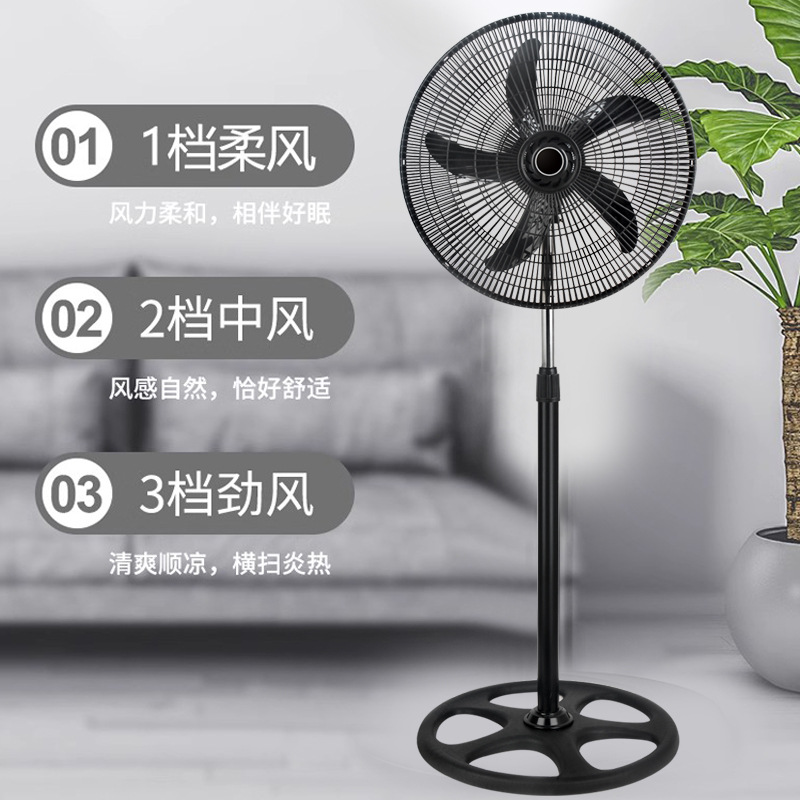 Modelo mecánico de 18 pulgadas