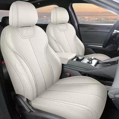 80Km Leading Model Qin L | Modelə uyğun (Original) oturacaq örtükləri - haoyue-rice-standard-edition-qin-ls-special-five-seater-full-package-for-the-front-row-half-package-for-the-rear-row
