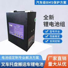 厂家供应锂电池杭叉雷翼款48v叉车托盘搬运车锂电池抽拉式锂电池