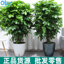 �S�����ϻ����ڏ�����ˮ���˼Ӹ߿͏d��ش���������[�❲ˮ