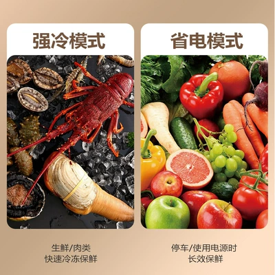 Soyuducular compressor car refrigerator commercial car