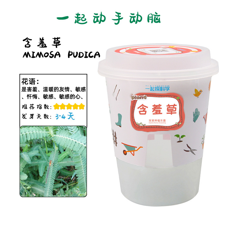 Juguetes educativos para niños al por mayor experimento científico traje kindergarten DIY hecho a mano Tecnología pequeña producción material regalo