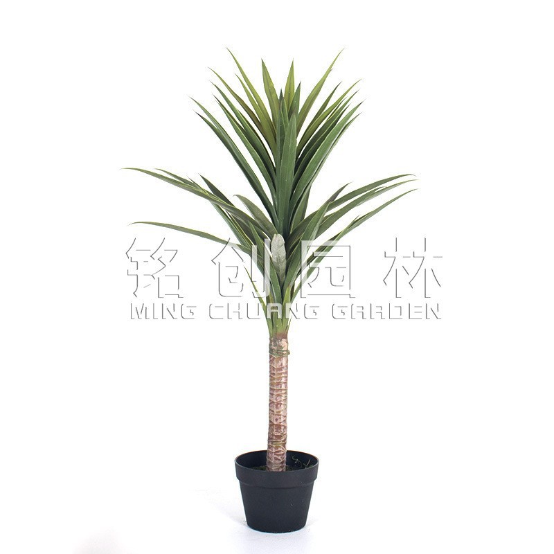 Simulación Árbol de sangre de dragón Simulación de madera de mil años Plantas verdes Plantas en macetas Decoración de interiores Simulación Árbol de hierro de sangre de dragón Simulación Árbol artificial Plantas verdes falsas