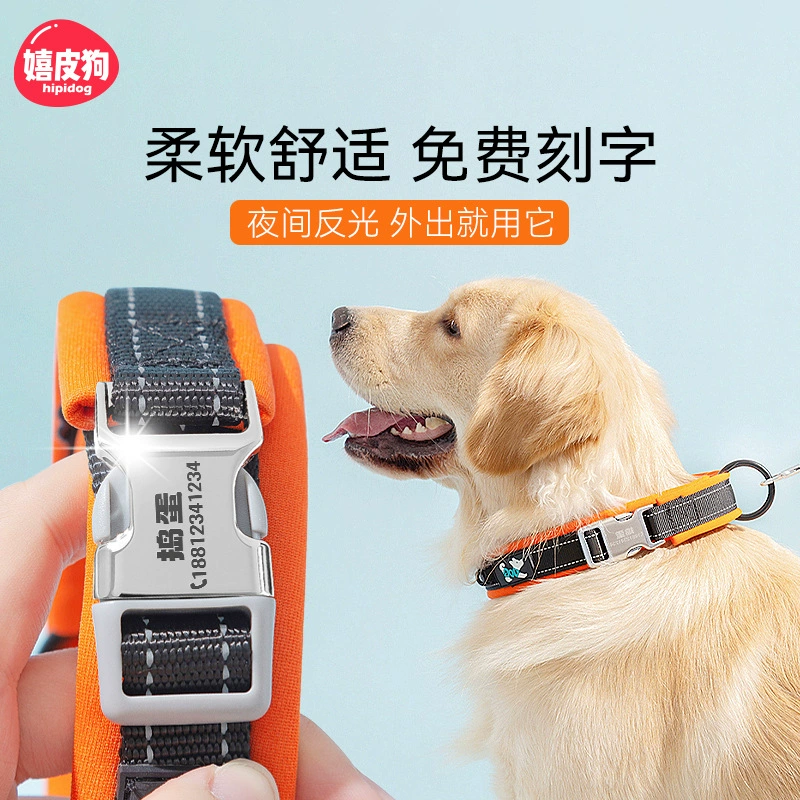 Собачий ошейник надпись на большой собачьей шею золотисто-собачий колокольчик для предотвращения потери домашних животных