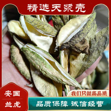 �_Ħ�� ��{�� Ұ���}Ħ�v ��Ʒ2025��؛ ���Sɫ���l������ș��