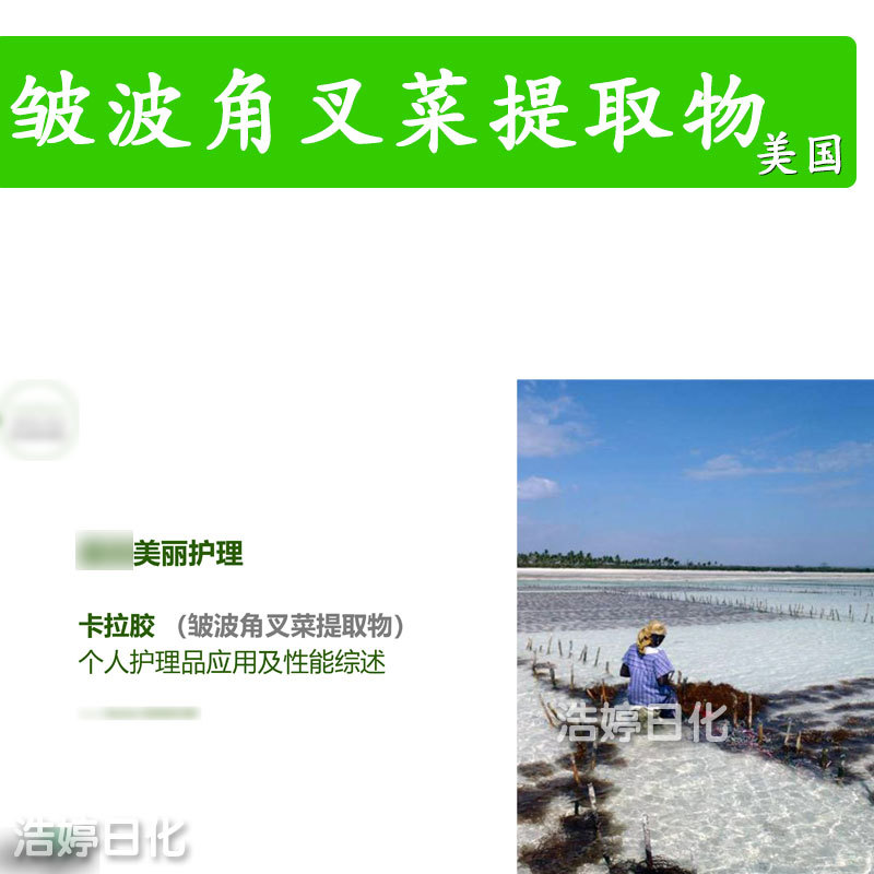 美国 VPC 508 P 增稠剂 凝胶剂 皱波角叉菜提取物 卡拉胶 100g