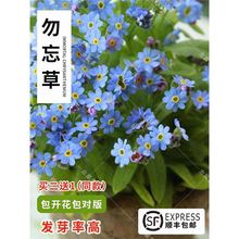 ѻNǳ򻨶޸ͺB׻ܷN