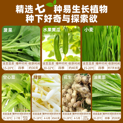 Children's scientific vegetable planting laboratory set planting observation seed germination and growth potted primary school students ecological laboratory