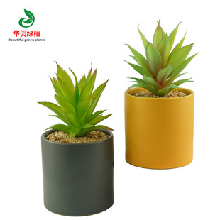 ������Ⲥ�}�~�P���^ DIYֲ���Ʒ��� ֲ��Gɫ����С���辰