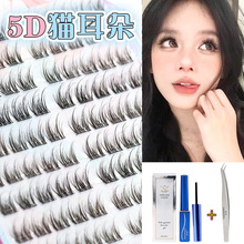 ��¹5D������؈����ˮ���q�냺��ë�q�ж���3D���ɰűȼٽ�ë�δ�