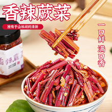 三知情香辣蕨菜280g香辣脆爽下饭菜拌饭酱腌菜拌面预制菜咸菜批发