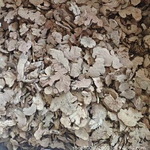 ���w��؛�a�����l���w��؛���w�����l���w��������ă����w�o��