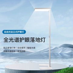フルスペクトル目の保護フロアランプ、学習用、学生の読書と書き込み用、垂直街路灯、書斎ピアノランプ