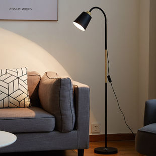 Floor Lamp Nordic Living Room Bedroom Study LED Simple Modern Dimmable Remote Control Reading Floor Lamp
