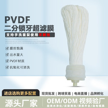 PVDF���VĤ��ϴ�Vо2�������մɞVоͨ��Ҏ���^�V���Vо�S�����l