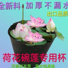 无孔营养钵加厚不漏水睡莲荷花莲花盆碗莲育苗盆水生植物水盆水盒