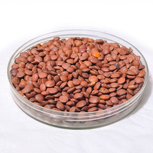 �ᗗ�ʇ��a��ș��  �o�s��؛