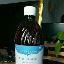 EM菌 批发EM益生菌水产养殖饲料级   现货液体型EM益生菌原液批发