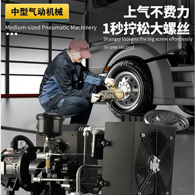 Hava kompressorları, Screw Machine, Permanent Magnet Variable Frequency