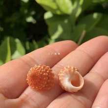 ȻؐõRݘ˱ݼľзQ~ˮ쾰΢^