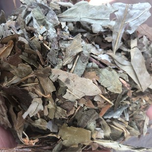 �����r�aƷ ���l�B�N�~ �S���l �B�� ���N ���N �S��