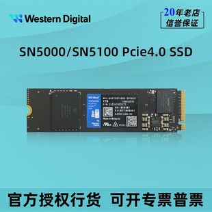Wd Western Digital Sn5000/5100 Blue Disk 500G1T2T Nvme High-Speed Computer M.2 Solid State Drive Ssd