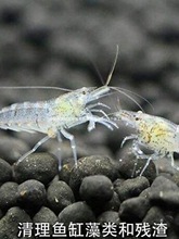 �ښ��r�ݸ׻��w�ײͳ����r��ˮ�^�p�r�ݸ��坍�r�쾰�׳��幤�S��