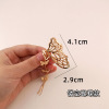 Brand fashionable sophisticated universal hair accessory, small hairgrip, metal crab pin with tassels, internet celebrity, city style