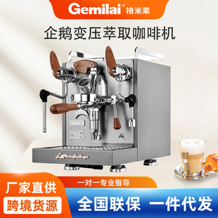 Gmiele Penguin Commercial Semi-automatic Italian Coffee Machine CRM3124G Milk Tea Shop Fresh Coffee Steam Machine