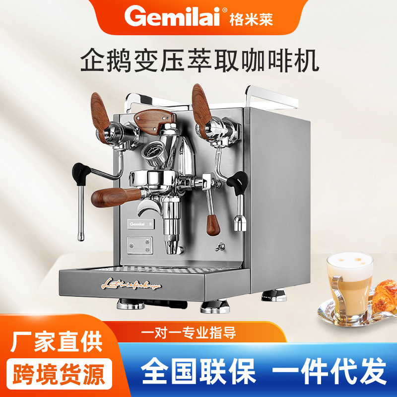 Gmiele Penguin Commercial Semi-automatic Italian Coffee Machine CRM3124G Milk Tea Shop Fresh Coffee Steam Machine