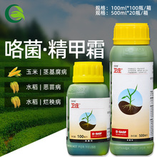 巴斯夫卫庄 精甲霜灵咯菌腈玉米茎基腐病种子包衣拌种剂种衣剂