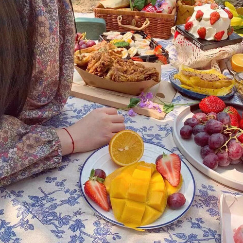 Ins style picnic mat spring outing lawn mat picnic tablecloth moisture-proof American printed cotton and linen tablecloth picnic cloth wholesale
