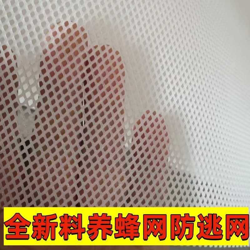 加厚小孔塑料养殖网格养蜂鸡鸭鹅垫网阳台防护栏封窗安养蚕鱼
