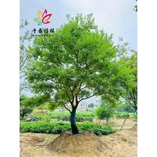 ������煲������С��ͥԺ�@���ͺ����~�G���L���������������